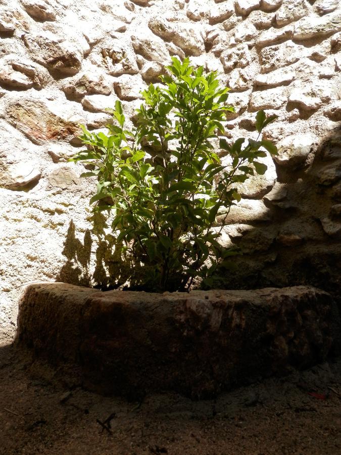 Alatri Cali B&B מראה חיצוני תמונה
